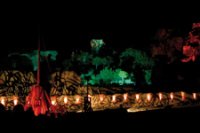 Van Gogh aux baux de provence