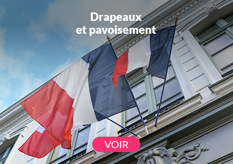 PAVOISEMENT